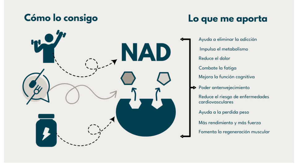 Energía Vital en Cápsulas